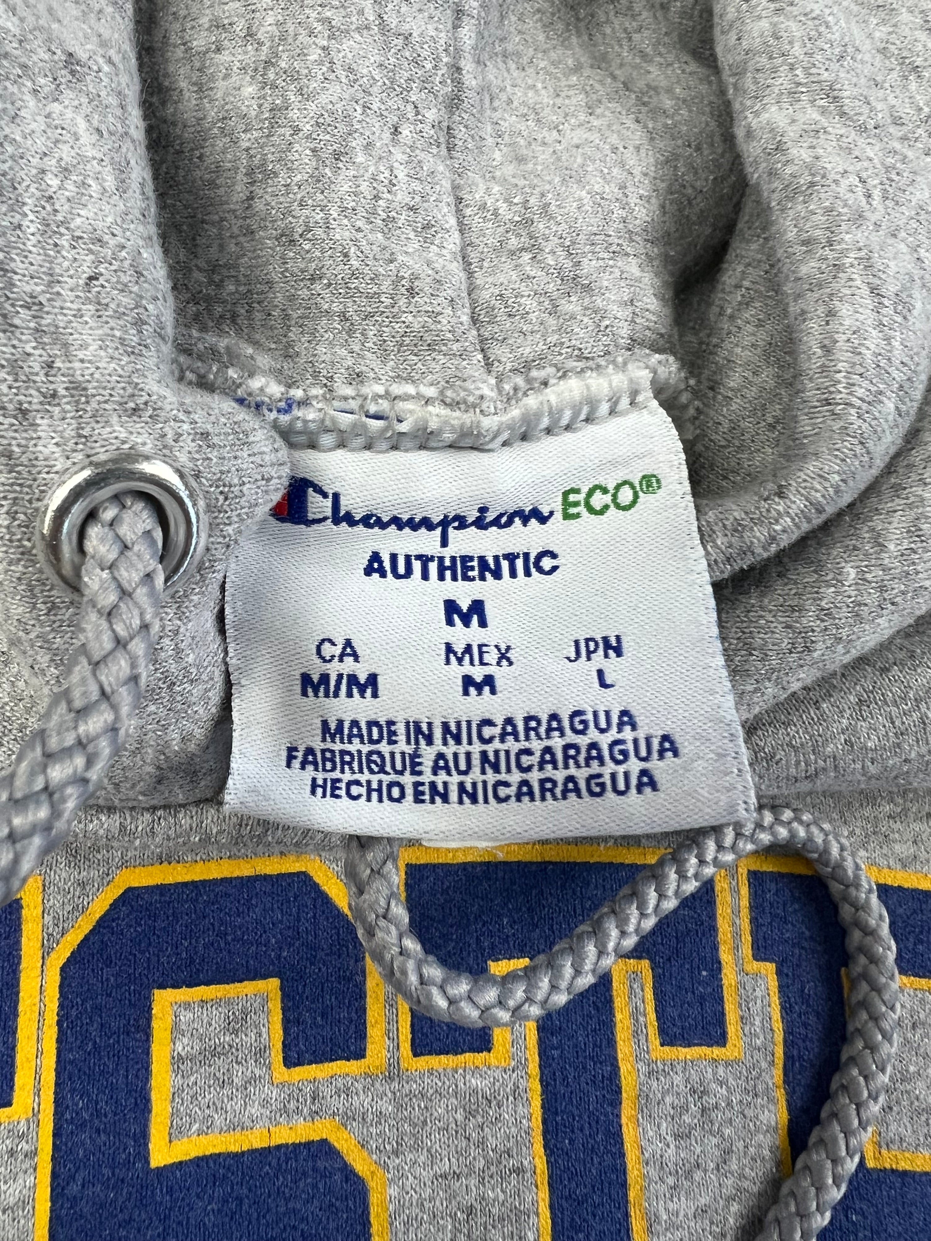 CHAMPION HOFSTRA UNIVERSITY HOODIE GREY - M