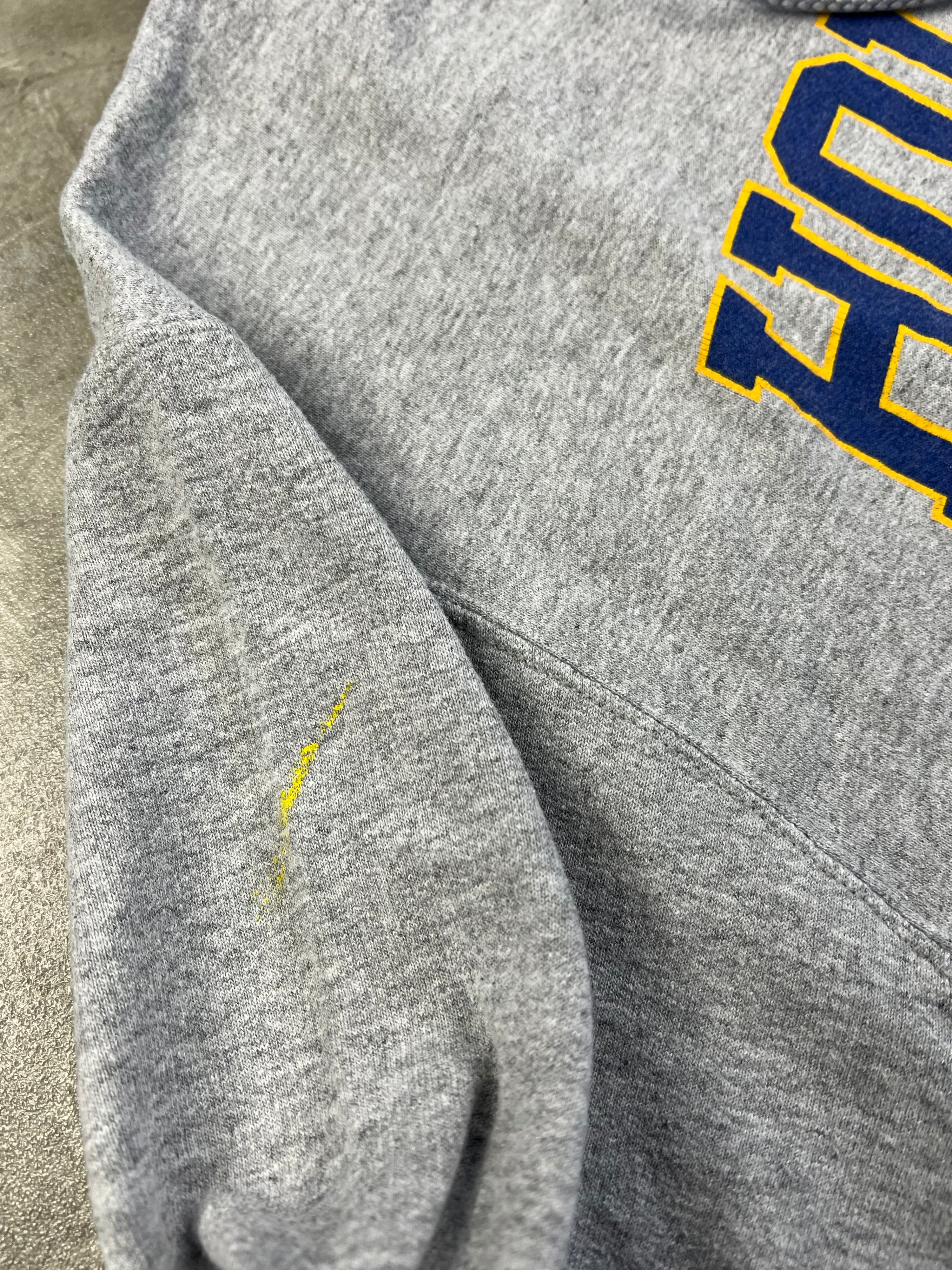CHAMPION HOFSTRA UNIVERSITY HOODIE GREY - M